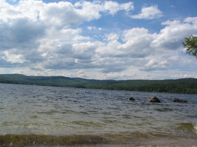Photograph