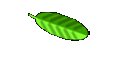 Congregations