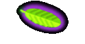 Contacts