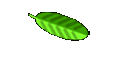What's Up