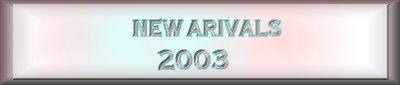 Check out the new 2003 foals