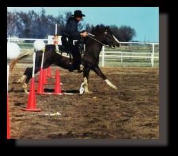 Cowboy Mounted Shooting Association