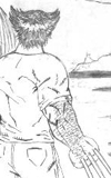 WOLVERINE
