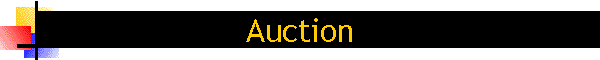 Auction