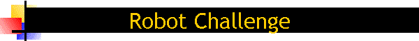 Robot Challenge