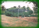 Fruit cages and vegetable patch