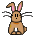 Bunny!