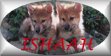 :Ishaah