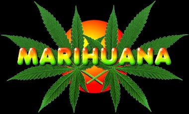Eine weitere coole Site fr Hanffreunde