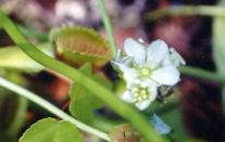 photographed on landfill site property