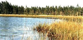 quiet marsh in Green Swamp is home to many species