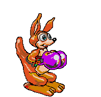 boxing kangaroo