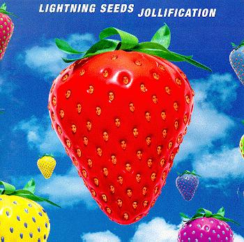 lseeds01.jpg