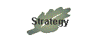 Strategy