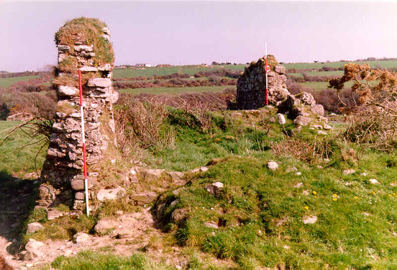 Kilmacleague church ruins