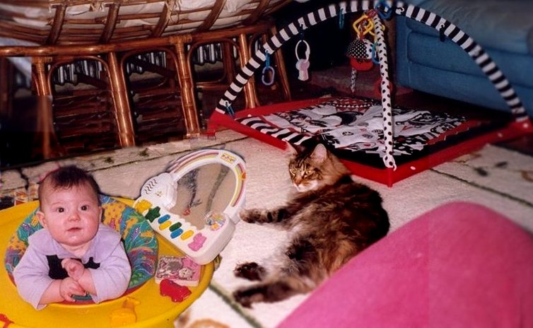 Playroom (with playmate Tufty)
