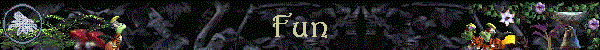 Fun