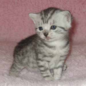 Evelina 3 weeks