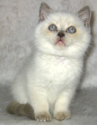 Utina 8 weeks old