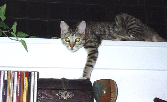 Click on Gretl to see her own page!