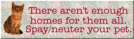 PLEASE! No more homeless pets!