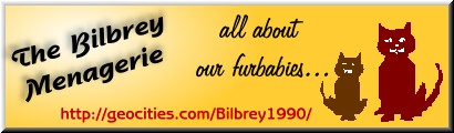 Go meet Carol's furbabies!