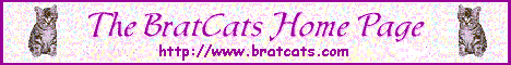 Meet these cats, plus, many causes