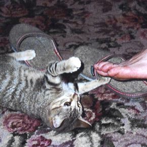 "I wish I could get that near my mouth!"