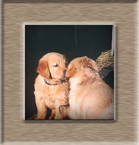 Max and Sis