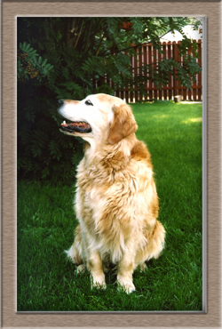 Mitzie