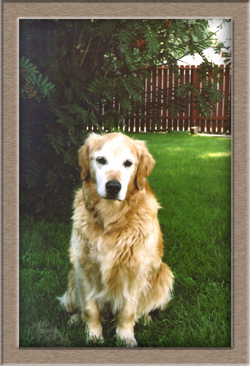 Mitzie