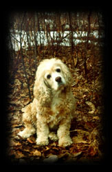 murphy