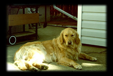 Sparky