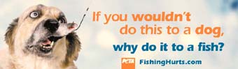 Fishing is cruel and barbaric.
Click for more details.