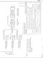Section XII: Electrical System