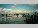 027_27.jpg 77Kb