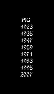 pig years