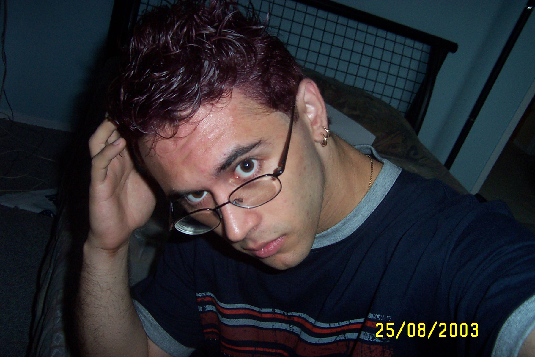 purple.jpg (408550 bytes)