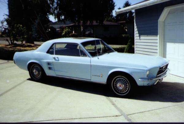 /user/mustang2a.jpg