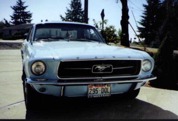 /user/mustang3a.jpg