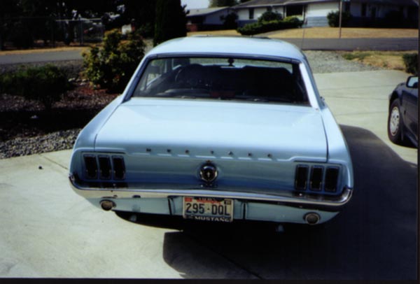 /user/mustang5a.jpg