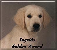 goldenaward1.jpg (16638 bytes)