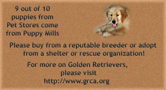 no Puppy Mills