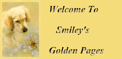 Welcome banner