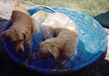 pool1.jpg