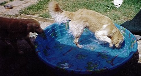 pool2.jpg
