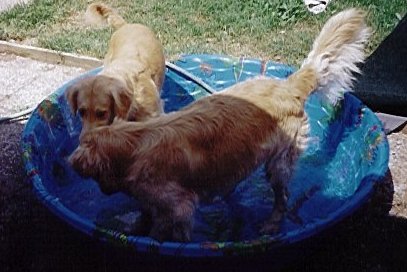 pool3.jpg