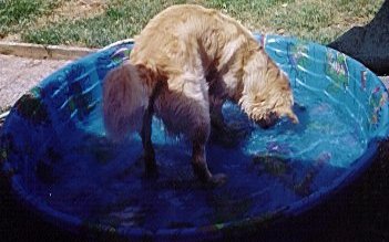 pool4.jpg