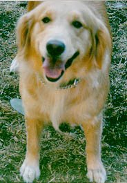 Smiley looking at mom