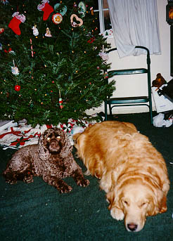 Smiley & Max Christmas 1997